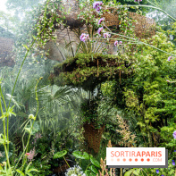 Jardins jardin aux Tuileries 2022