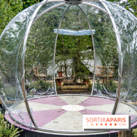 Jardins jardin aux Tuileries 2022