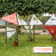 Jardins jardin aux Tuileries 2022