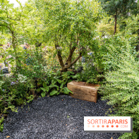 Jardins jardin aux Tuileries 2022