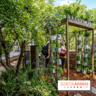 Jardins jardin aux Tuileries 2022