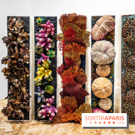 Le salon Révélations 2022, les photos 