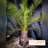 Faut-il voyager pour être heureux ?, l'exposition dépaysante de l'Espace Fondation EDF - nos photos