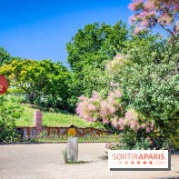 Le Musée de la Sculpture en plein air : une balade artistique gratuite au cœur de Paris