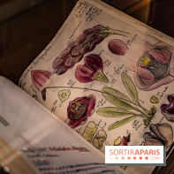 Exposition Végétal  by Chaumet aux Beaux Arts de Paris