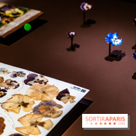 Exposition Végétal  by Chaumet aux Beaux Arts de Paris