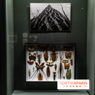 Exposition Végétal  by Chaumet aux Beaux Arts de Paris