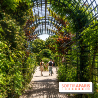 La Coulée verte, la promenade insolite de la Bastille à Vincennes