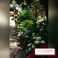 Le cimetière canin à Asnières-sur-Seine