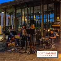 Visuel concert fête de la musique spectacle - IMG 0365