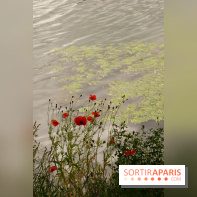 l'Île des Impressionnistes à Chatou