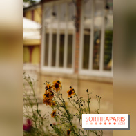 l'Île des Impressionnistes à Chatou