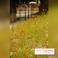 l'Île des Impressionnistes à Chatou