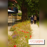 l'Île des Impressionnistes à Chatou