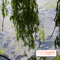 l'Île des Impressionnistes à Chatou