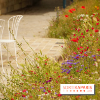 l'Île des Impressionnistes à Chatou