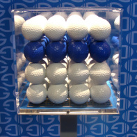 Le mardi 24 novembre, l'Atelier Renault organisait une soirée privée à l'occasion de la présentation de sa nouvelle Gordini. André en était l'invité d'honneur.