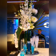 Le mardi 24 novembre, l'Atelier Renault organisait une soirée privée à l'occasion de la présentation de sa nouvelle Gordini. André en était l'invité d'honneur.