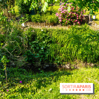 La promenade des petits ponts dans la vallée de Chevreuse -  A7C3853