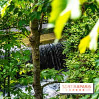 La promenade des petits ponts dans la vallée de Chevreuse -  A7C3856