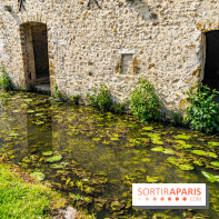 La promenade des petits ponts dans la vallée de Chevreuse -  A7C3872