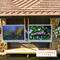 La promenade des petits ponts dans la vallée de Chevreuse -  A7C3880