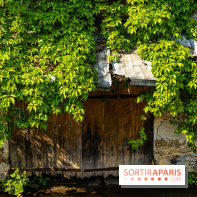 La promenade des petits ponts dans la vallée de Chevreuse -  A7C3885