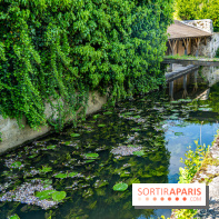 La promenade des petits ponts dans la vallée de Chevreuse -  A7C3896