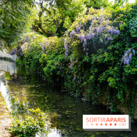 La promenade des petits ponts dans la vallée de Chevreuse -  A7C3898