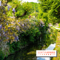 La promenade des petits ponts dans la vallée de Chevreuse -  A7C3900