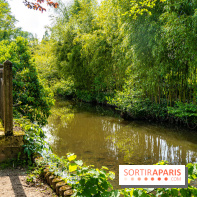 La promenade des petits ponts dans la vallée de Chevreuse -  A7C3907
