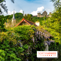 La promenade des petits ponts dans la vallée de Chevreuse -  A7C3910