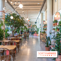 Titi Palacio, bar-restaurant festif à la Félicité 