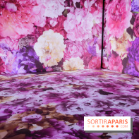 Exposition immersive autour de la Fête des lanternes, nos photos