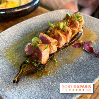 Les Fous de l'Ile - été 2022