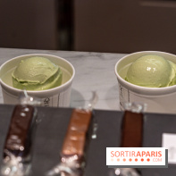 Les glaces de Jacques Génin à Paris