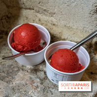 Les glaces de Jacques Génin à Paris