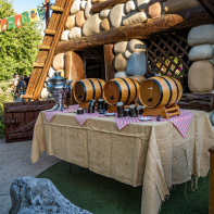 Le Banquet Gaulois au Parc Asterix 