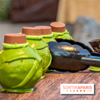 Parc Asterix 2022, les nouveautés en photos 