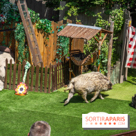 Parc Asterix 2022, les nouveautés en photos 