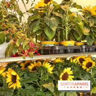 Plantes pour Tous, les prochaines ventes de plantes à partir de 2€ à Paris