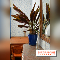 La Maison des Marronniers, un havre de paix en Essonne