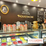 L'artisan glacier Moustache et ses délicieuses glaces artisanales bretonnes dans le Marais