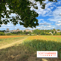 Houdan, ville médiévale et balade historique dans les Yvelines