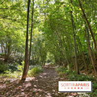 Balade sur la Petite Ceinture du 14 au 16e arrondissement : un sentier nature dépaysant