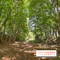 Balade sur la Petite Ceinture du 14 au 16e arrondissement : un sentier nature dépaysant