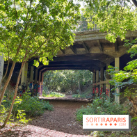 Balade sur la Petite Ceinture du 14 au 16e arrondissement : un sentier nature dépaysant