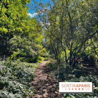 Balade sur la Petite Ceinture du 14 au 16e arrondissement : un sentier nature dépaysant