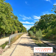 Balade sur la Petite Ceinture du 14 au 16e arrondissement : un sentier nature dépaysant