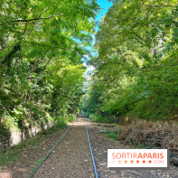 Balade sur la Petite Ceinture du 14 au 16e arrondissement : un sentier nature dépaysant